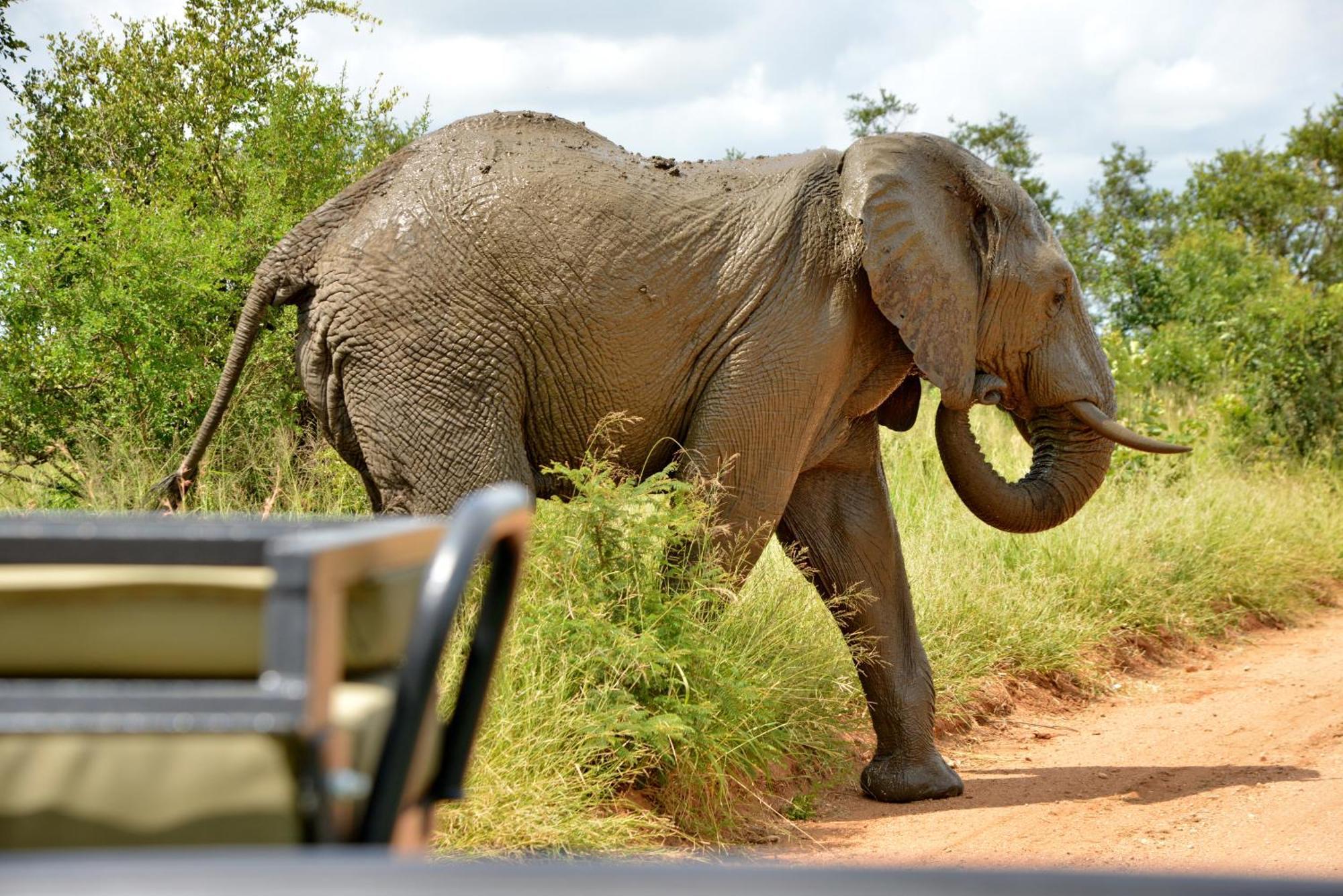 Kruger Safari Lodge มันเยเลติเกมรีเซิร์ฟ ภายนอก รูปภาพ
